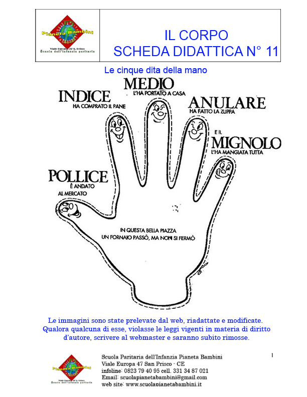 image scheda_didattica_n11-jpg